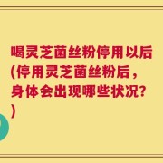 喝灵芝菌丝粉停用以后(停用灵芝菌丝粉后，身体会出现哪些状况？)