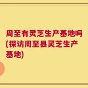 周至有灵芝生产基地吗(探访周至县灵芝生产基地)