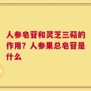 人参皂苷和灵芝三萜的作用？人参果总皂苷是什么