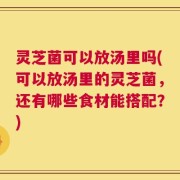 灵芝菌可以放汤里吗(可以放汤里的灵芝菌，还有哪些食材能搭配？)
