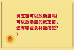 灵芝菌可以放汤里吗(可以放汤里的灵芝菌，还有哪些食材能搭配？)