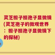 灵芝担子担孢子显微镜(灵芝孢子的微观世界：担子担孢子显微镜下的探秘)