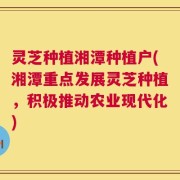 灵芝种植湘潭种植户(湘潭重点发展灵芝种植，积极推动农业现代化)