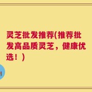 灵芝批发推荐(推荐批发高品质灵芝，健康优选！)