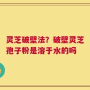 灵芝破壁法？破壁灵芝孢子粉是溶于水的吗