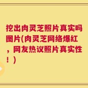 挖出肉灵芝照片真实吗图片(肉灵芝网络爆红，网友热议照片真实性！)