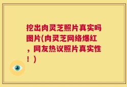 挖出肉灵芝照片真实吗图片(肉灵芝网络爆红，网友热议照片真实性！)