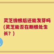 灵芝拔根后还能发芽吗(灵芝能否在断根处生长？)
