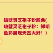 破壁灵芝孢子粉颜色(破壁灵芝孢子粉：鲜明色彩展现天然大好！)