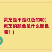 灵芝是不是红色的呢(灵芝的颜色是什么颜色呢？)