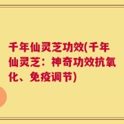 千年仙灵芝功效(千年仙灵芝：神奇功效抗氧化、免疫调节)