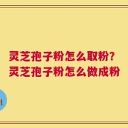 灵芝孢子粉怎么取粉？灵芝孢子粉怎么做成粉