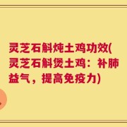 灵芝石斛炖土鸡功效(灵芝石斛煲土鸡：补肺益气，提高免疫力)