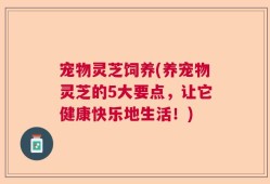 宠物灵芝饲养(养宠物灵芝的5大要点，让它健康快乐地生活！)