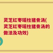 灵芝红枣瑶柱猪骨汤(灵芝红枣瑶柱猪骨汤的做法及功效)