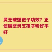 灵芝破壁孢子功效？正信破壁灵芝孢子粉好不好