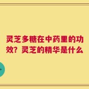 灵芝多糖在中药里的功效？灵芝的精华是什么