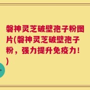 磐神灵芝破壁孢子粉图片(磐神灵芝破壁孢子粉，强力提升免疫力！)