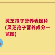 灵芝孢子营养表图片 (灵芝孢子营养成分一览图)