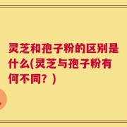 灵芝和孢子粉的区别是什么(灵芝与孢子粉有何不同？)