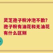 灵芝孢子粉冲泡不散？孢子粉有油花和无油花有什么区别