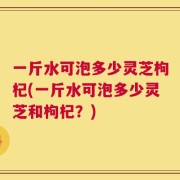 一斤水可泡多少灵芝枸杞(一斤水可泡多少灵芝和枸杞？)