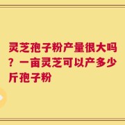 灵芝孢子粉产量很大吗？一亩灵芝可以产多少斤孢子粉
