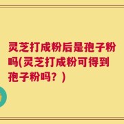 灵芝打成粉后是孢子粉吗(灵芝打成粉可得到孢子粉吗？)
