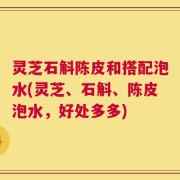 灵芝石斛陈皮和搭配泡水(灵芝、石斛、陈皮泡水，好处多多)