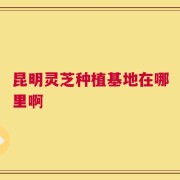 昆明灵芝种植基地在哪里啊