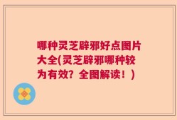 哪种灵芝辟邪好点图片大全(灵芝辟邪哪种较为有效？全图解读！)