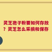 灵芝孢子粉要如何存放？灵芝怎么采摘和保存
