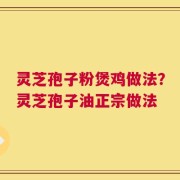 灵芝孢子粉煲鸡做法？灵芝孢子油正宗做法