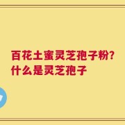 百花土蜜灵芝孢子粉？什么是灵芝孢子