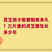 灵芝孢子需要服用多久？三斤重的灵芝要生长多少年