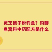 灵芝孢子粉钓鱼？钓鲫鱼窝料中药配方是什么