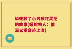蟒蛇救了小男孩吃灵芝的故事(蟒蛇救人：情深义重奇迹上演)