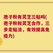 孢子粉有灵芝三贴吗(孢子粉和灵芝合作，三步走贴法，有效提高免疫力)