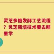 灵芝多糖发酵工艺流程？灵芝栽培技术要去那里学