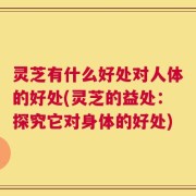 灵芝有什么好处对人体的好处(灵芝的益处：探究它对身体的好处)