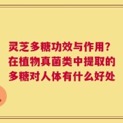 灵芝多糖功效与作用？在植物真菌类中提取的多糖对人体有什么好处