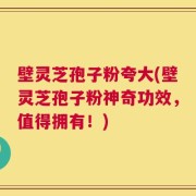 壁灵芝孢子粉夸大(壁灵芝孢子粉神奇功效，值得拥有！)