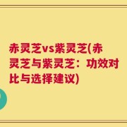 赤灵芝vs紫灵芝(赤灵芝与紫灵芝：功效对比与选择建议)
