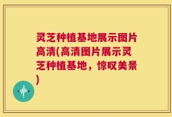 灵芝种植基地展示图片高清(高清图片展示灵芝种植基地，惊叹美景)