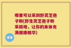 哪里可以采到野灵芝孢子粉(野生灵芝孢子粉采摘地，让你的身体充满健康精华)