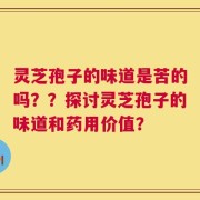 灵芝孢子的味道是苦的吗？？探讨灵芝孢子的味道和药用价值？