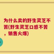 为什么卖的野生灵芝不苦(野生灵芝口感不苦，销售火爆)