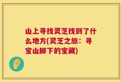 山上寻找灵芝找到了什么地方(灵芝之旅：寻宝山脚下的宝藏)