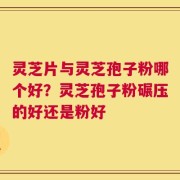 灵芝片与灵芝孢子粉哪个好？灵芝孢子粉碾压的好还是粉好