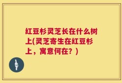 红豆杉灵芝长在什么树上(灵芝寄生在红豆杉上，寓意何在？)